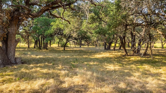 view of landscape