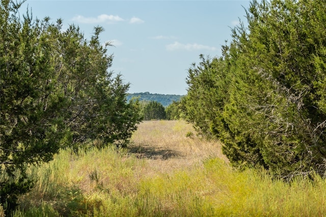 view of landscape