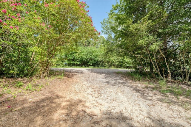 137 Ranchette St, Bastrop TX, 78602 land for sale