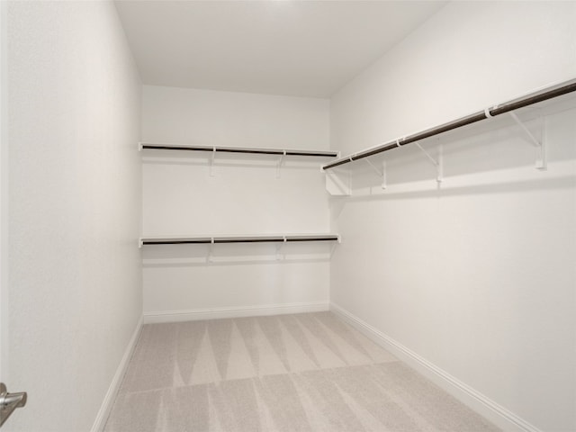 spacious closet with light colored carpet