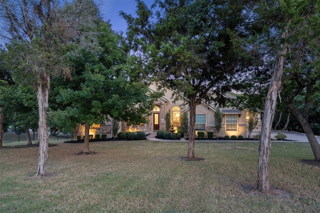 obstructed view of property with a front lawn