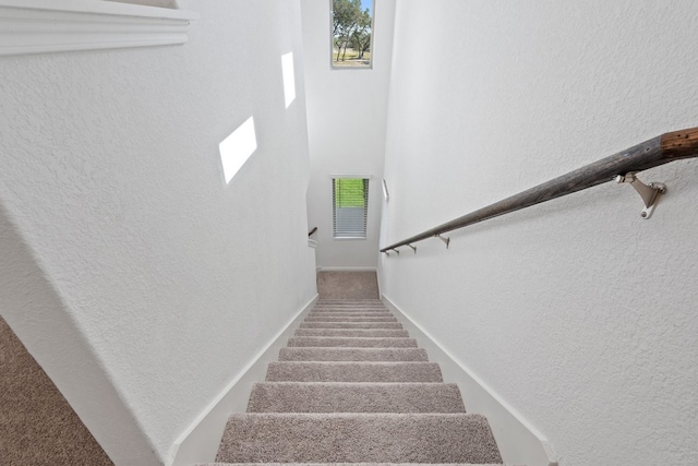 stairs featuring carpet floors