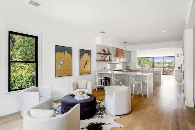 living room featuring light wood-type flooring