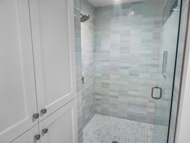 bathroom featuring a shower with door