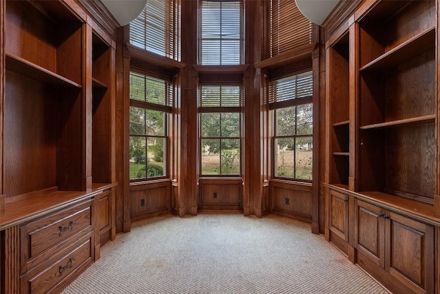 interior space with wood walls and light colored carpet