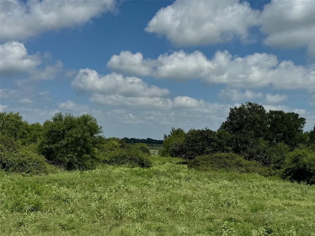 Listing photo 3 for 4430 Fm 1457th Rd, Round Top TX 78954