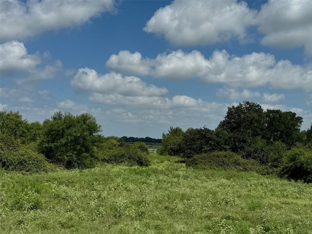 4430 Fm 1457th Rd, Round Top, TX 78954 - photo 3