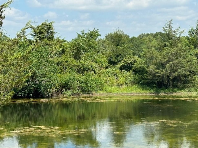 4430 Fm 1457th Rd, Round Top, TX 78954