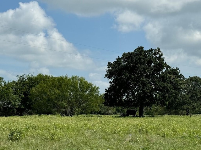 4430 Fm 1457th Rd, Round Top, TX 78954 - photo 10