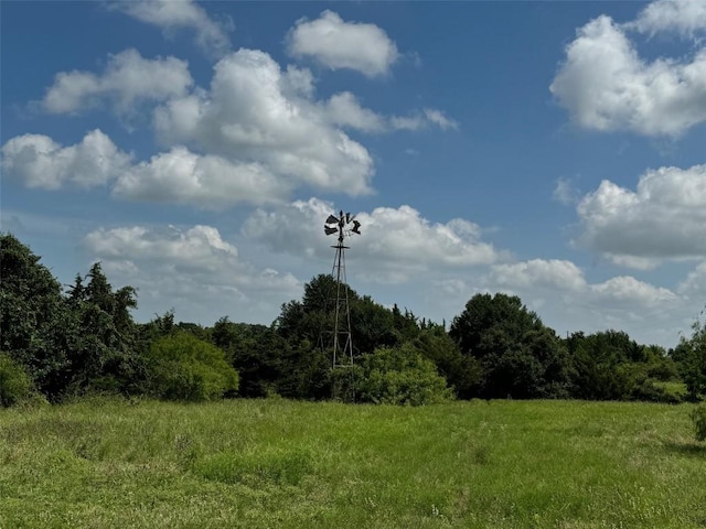 4430 Fm 1457th Rd, Round Top, TX 78954 - photo 22