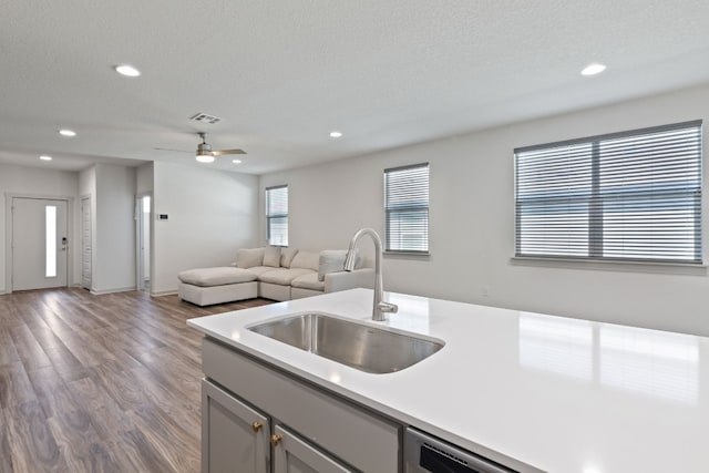 kitchen featuring ceiling fan, gray cabinets, hardwood / wood-style floors, sink, and a textured ceiling