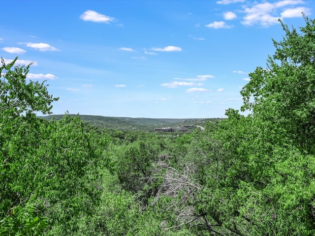 view of local wilderness