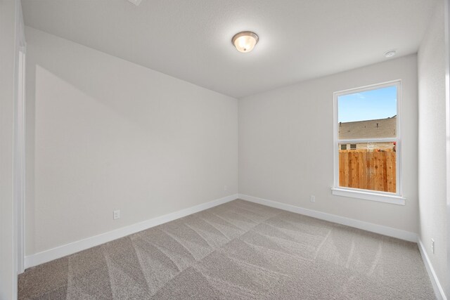 120 Chantilly Way, Liberty Hill, TX 78642 - photo 28