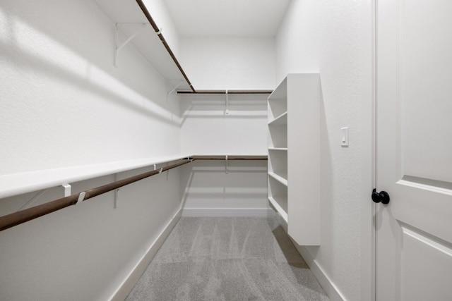 walk in closet featuring carpet floors