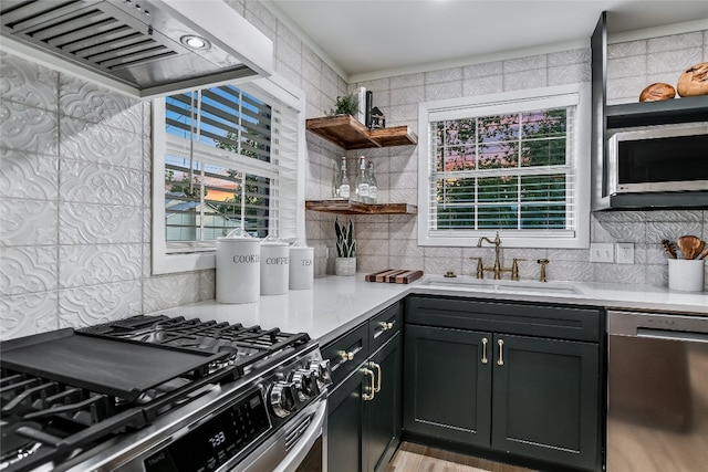 kitchen with backsplash, stainless steel appliances, range hood, and sink