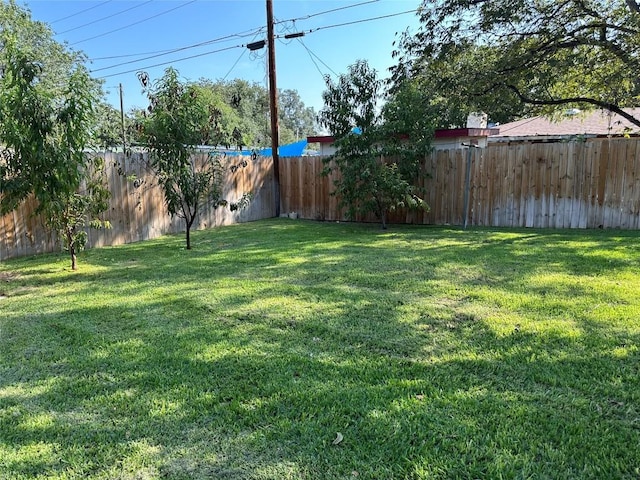 view of yard featuring a fenced backyard