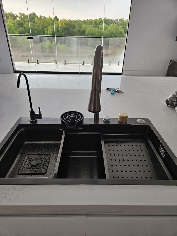 interior details featuring sink