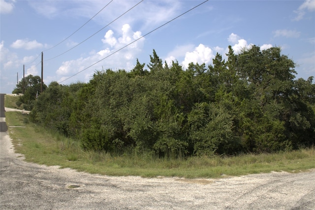 0 William Travis, Fischer TX, 78623 land for sale