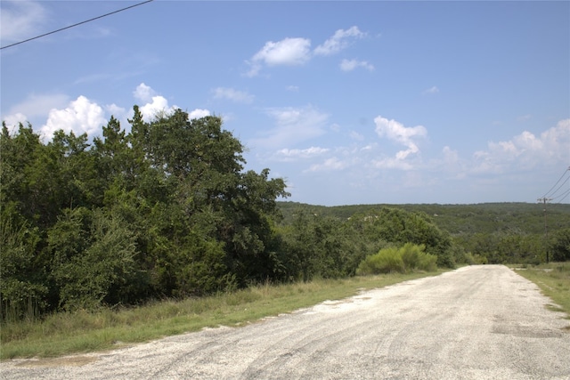 Listing photo 3 for 0 William Travis, Fischer TX 78623