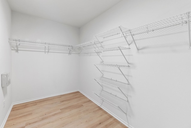 spacious closet with light wood-type flooring