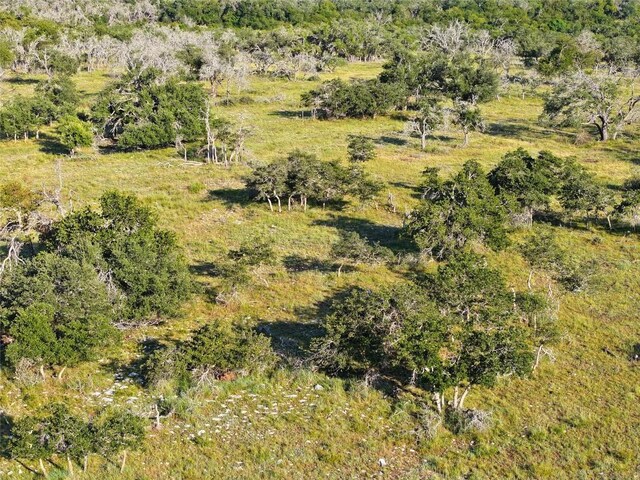 LOT52 Reeh Rd, Harper, TX 78631 - photo 2