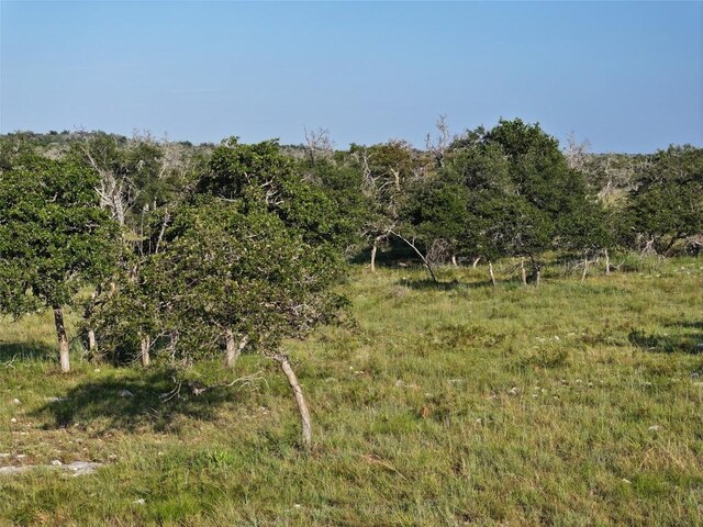 LOT52 Reeh Rd, Harper, TX 78631 - photo 3