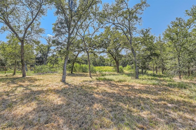 view of local wilderness