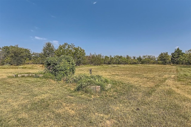 view of nature with a rural view