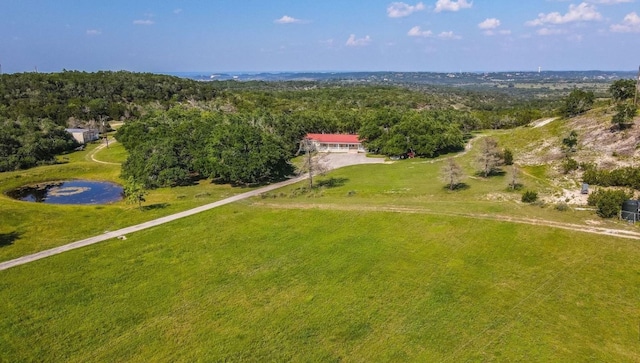 20300 Hamilton Pool Rd, Dripping Springs TX, 78620 land for sale