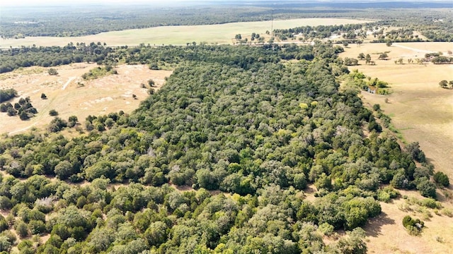 TBD Fm 2336, Mcdade, TX 78650