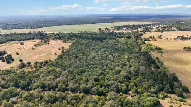 TBD Fm 2336, Mcdade, TX 78650