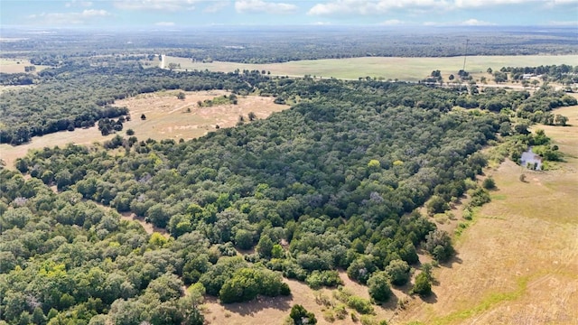 TBD Fm 2336, Mcdade, TX 78650