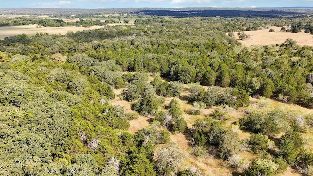 TBD Fm 2336, Mcdade, TX 78650
