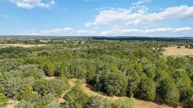 TBD Fm 2336, Mcdade, TX 78650