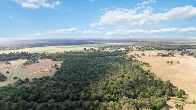 TBD Fm 2336, Mcdade, TX 78650