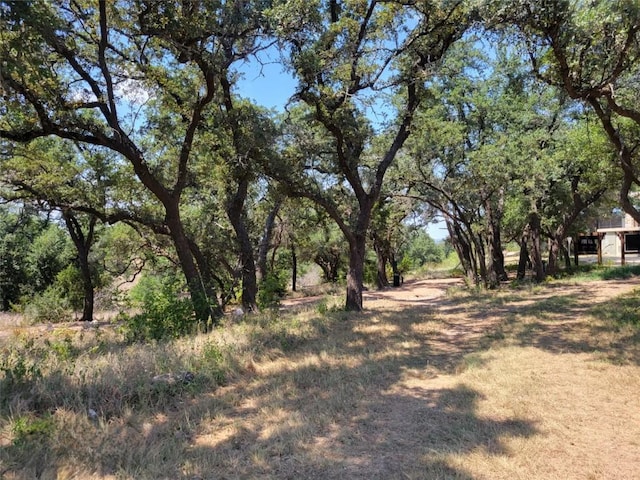 242 Freeman Loop, Liberty Hill, TX 78642 - view of yard