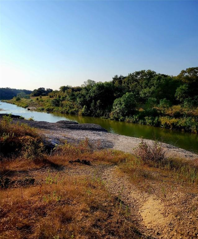 242 Freeman Loop, Liberty Hill, TX 78642 - water view with a heavily wooded area