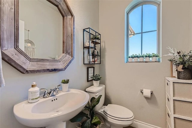 bathroom featuring toilet and sink