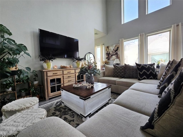 242 Freeman Loop, Liberty Hill, TX 78642 - living area featuring a high ceiling