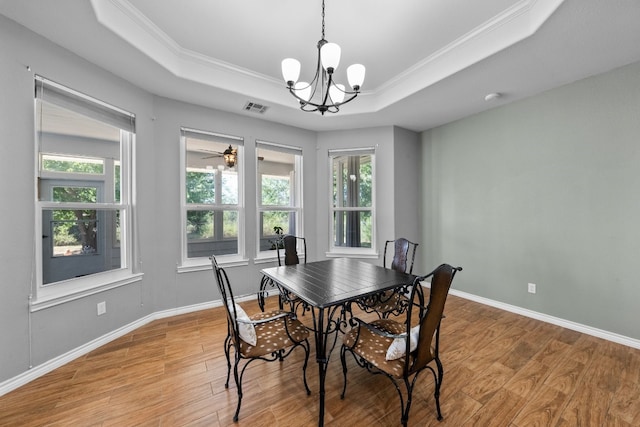 dining room with a wealth of natural light, hardwood / wood-style floors, and a raised ceiling