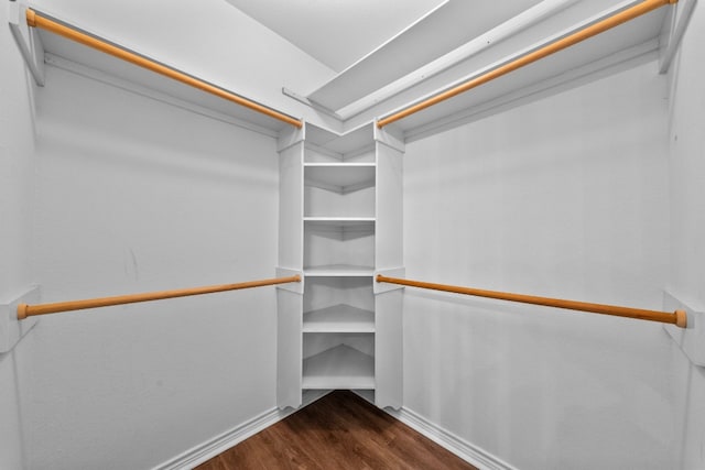 walk in closet featuring dark hardwood / wood-style floors