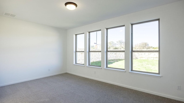 201 Menlo Bnd, Liberty Hill, TX 78642 - carpeted spare room with plenty of natural light