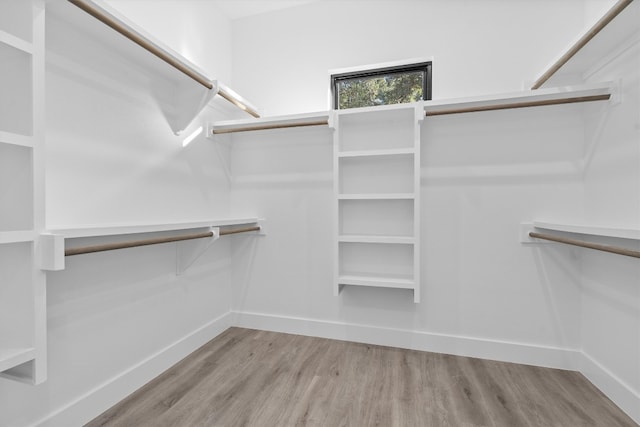 spacious closet featuring light hardwood / wood-style flooring