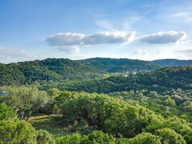 view of mountain feature with a forest view