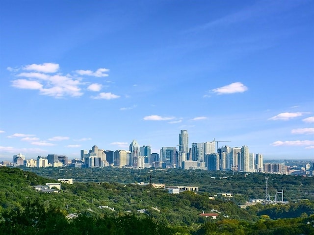 property's view of city