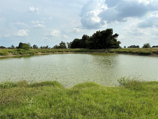 Listing photo 2 for TBD Fm 487, Thorndale TX 76577