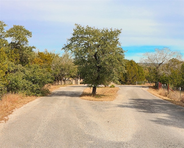 856 Cherry Bark Ln, Dripping Springs TX, 78620 land for sale