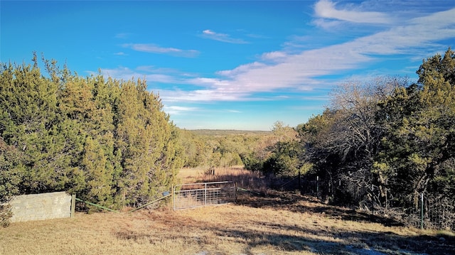 Listing photo 2 for 856 Cherry Bark Ln, Dripping Springs TX 78620