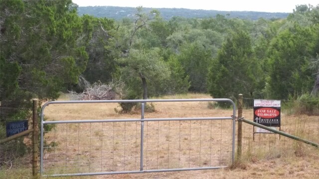 Listing photo 3 for 856 Cherry Bark Ln, Dripping Springs TX 78620