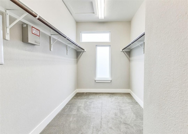 2016 Dinsdale Ln, Austin, TX 78741 - spacious closet with carpet floors